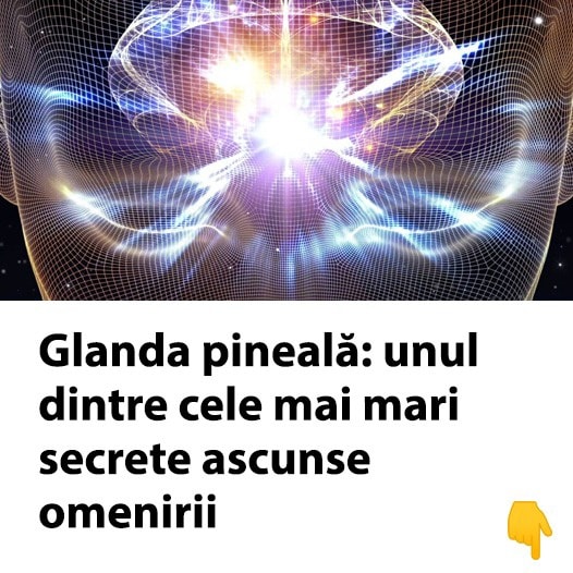 Glanda Pineală: Unul dintre Cele Mai Mari Secrete Ascunse Omenirii