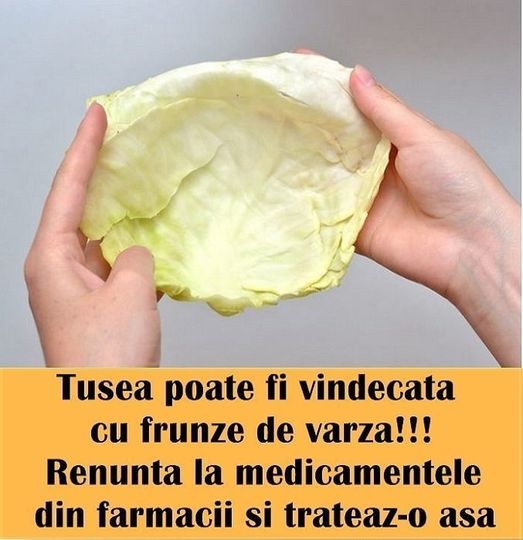 tusea poate fi vindecată cu frunze de varză, ușor și rapid. dacă cineva dintre membrii familiei mele începe să tușească, eu nu cumpăr niciodată medicamente de la farmacie, dar îi tratez așa