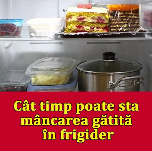 Cum se pastreaza mancarea gatita in frigider. Secretul dezvaluit de un celebru bucatar. Afla cum o tii mai mult timp fara sa se strice