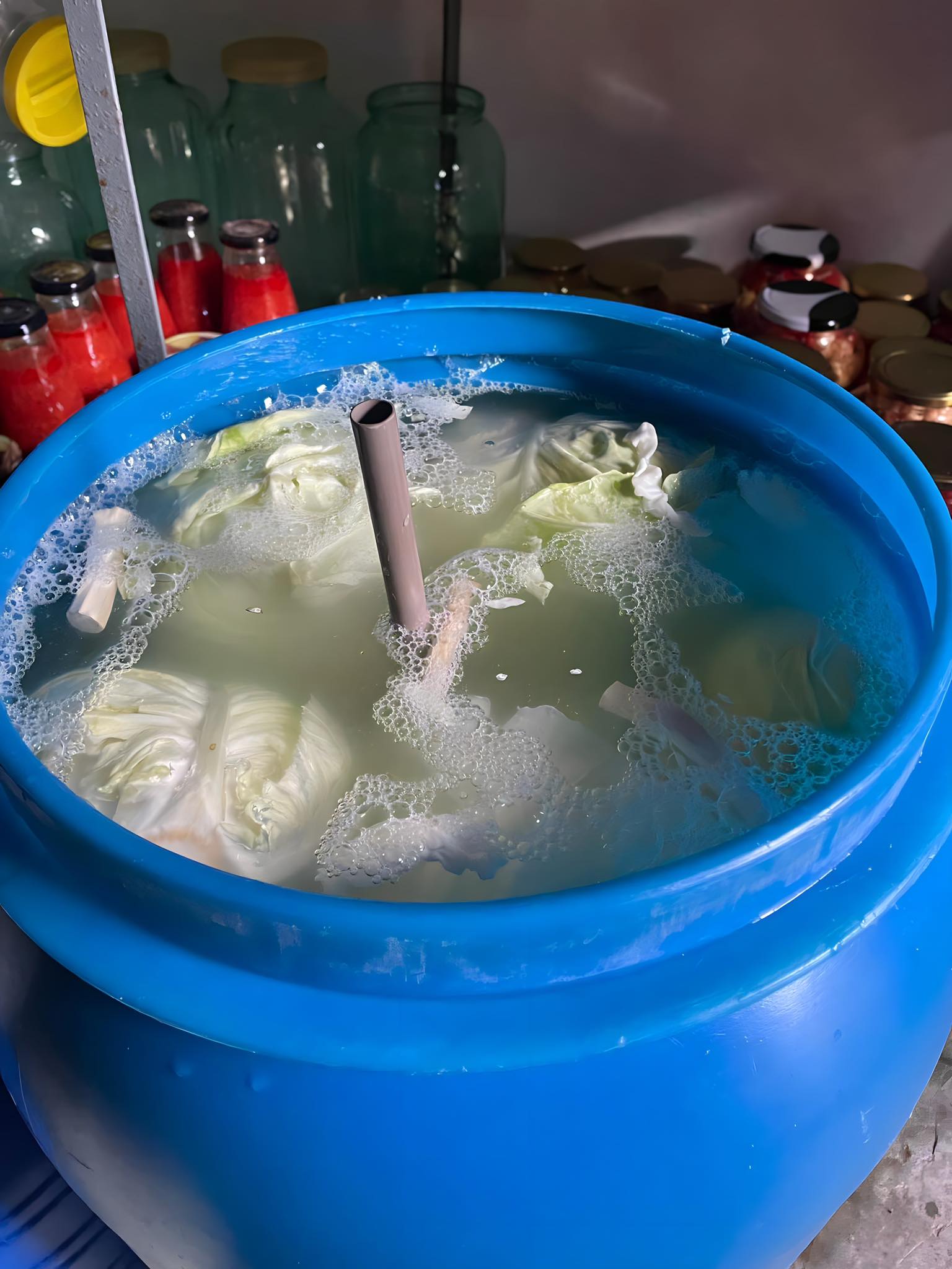 Greșeala pe care o fac multe gospodine când pun varza la murat – și cum să o eviți