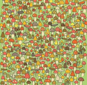 Test de perspicacitate | Doar geniile zăresc șoricelul ascuns în imagine în mai puțin de 28 de secunde