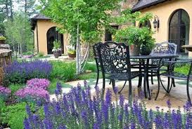 Plantele care țin insectele la distanță în mod natural. Soluția simplă pentru curte, balcon și terasă pe timpul verii
